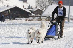 Lenk 2012 SM